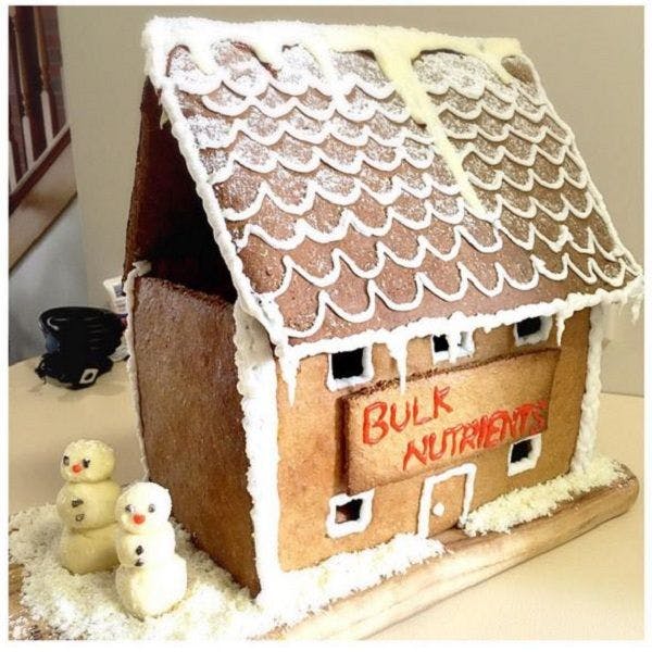 Protein Gingerbread House Recipe