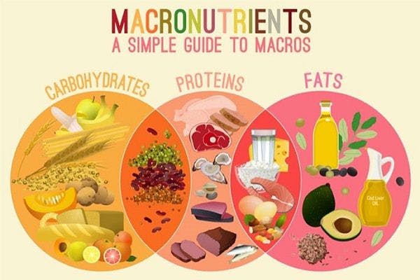 A snapshot of what foods make up your macronutrients.