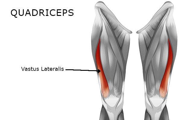 Vastus lateralis muscle 
