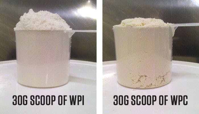 30 grams of WPI and WPC in a Bulk Nutrients scoop