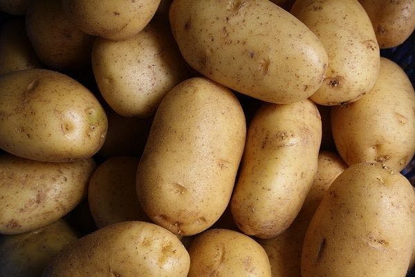 White potatoes are the best carbohydrate for keeping you full, despite being high GI.