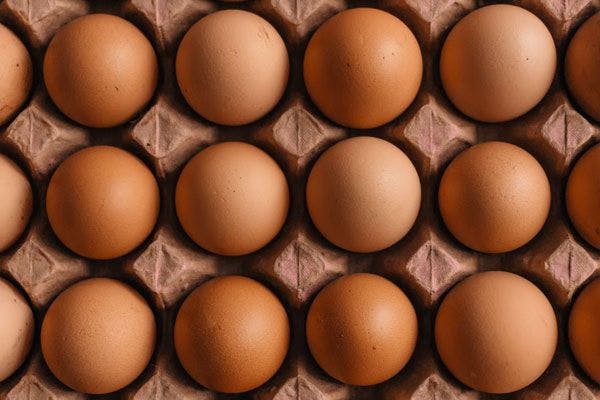 Eggs are also a complete protein source